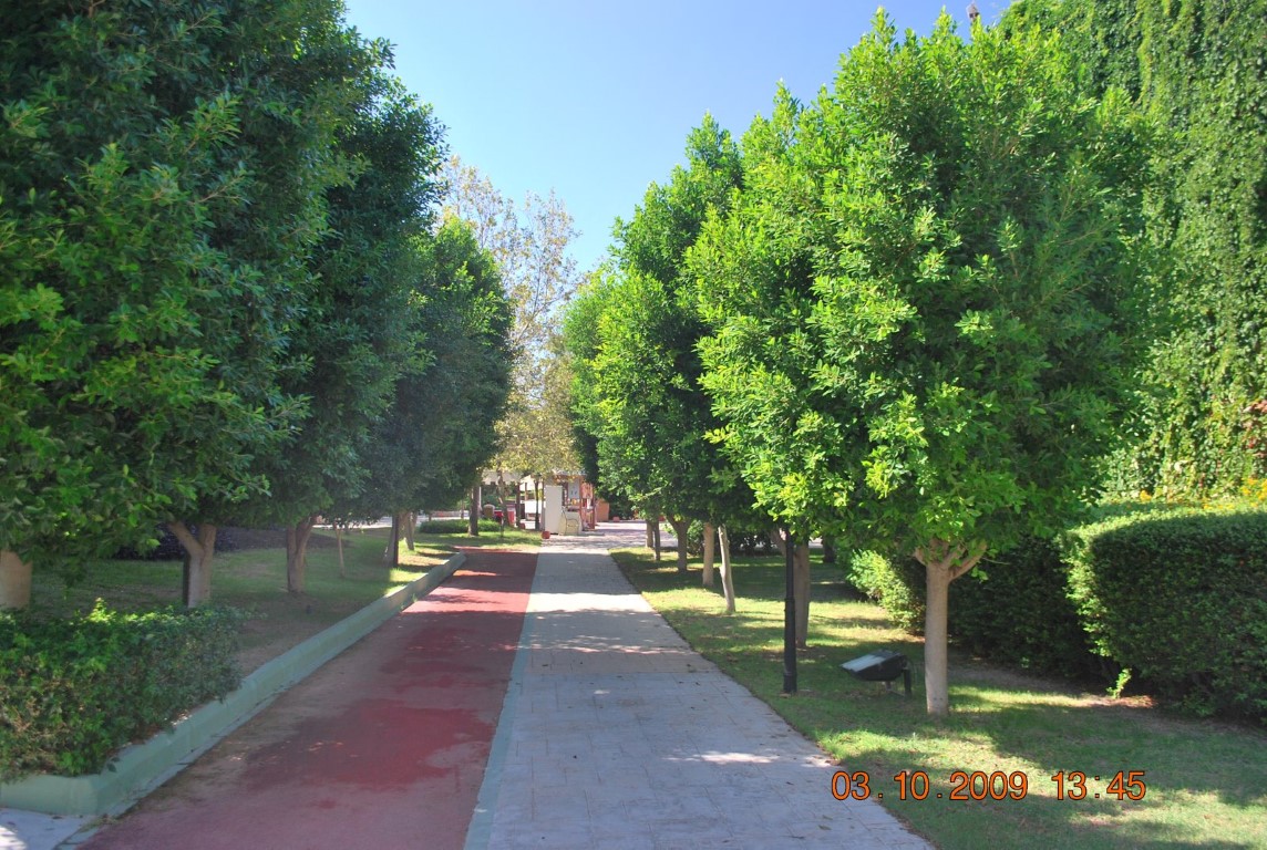 imagini hotel WOW TOPKAPI PALACE